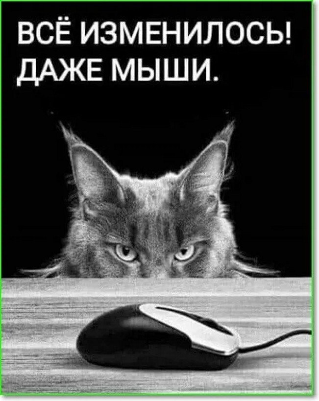 ☆������ �����☆ - 25 ������� 2025 � 16:20