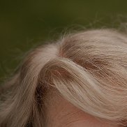 , 55 , 