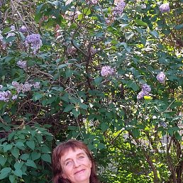 ���� ��������, ������, 57 ��� - ��������� 27 ������� 2023