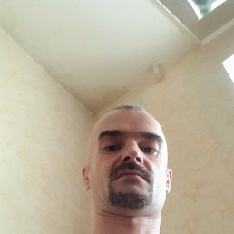 ����, �����������, 41 ���