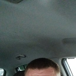 , 41 , 