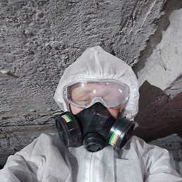 ���� ����, �����-���������, 36 ��� - ��������� 9 ������ 2026