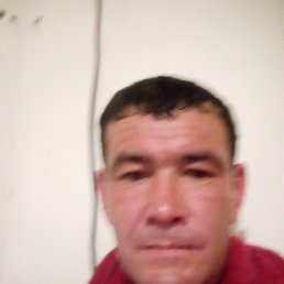 , 36, 