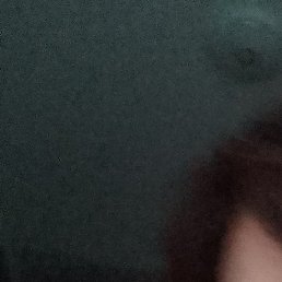 ��-.�, ������, 74 ����