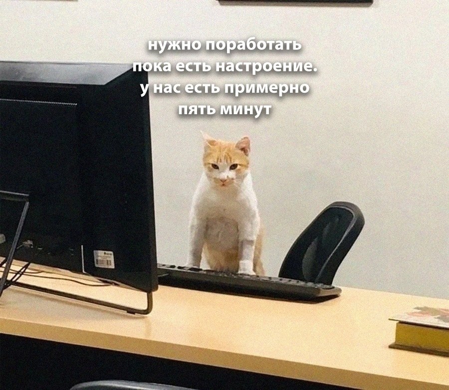 ��� �������� �������� - 21 ������ 2025 � 16:43