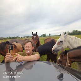 ����, 56 ���, �����-���������