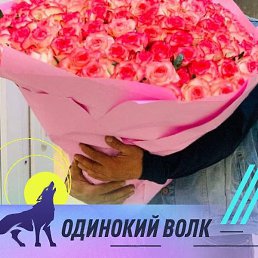 �����, ������, 37 ���