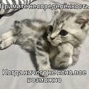 ���� �����, �������, 22 ���� - ��������� 5 ���� 2026