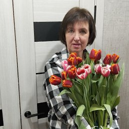 �����, ��������, 56 ���