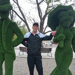 ����������, �����-���������, 54 ����