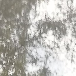 , , 41 