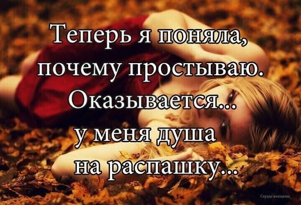   ! - 19  2025  12:41