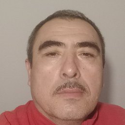 ����, �����-���������, 52 ����