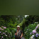 ���� Darina, ��������, 38 ��� - ��������� 4 ���� 2025 � ������ ���� ����������