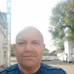 , 57, 