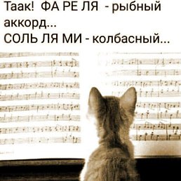 ���� Olex, ������ �����, 63 ���� - ��������� 25 ������ 2026