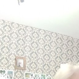 �����, �����������, 66 ���