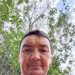 , 44 , 