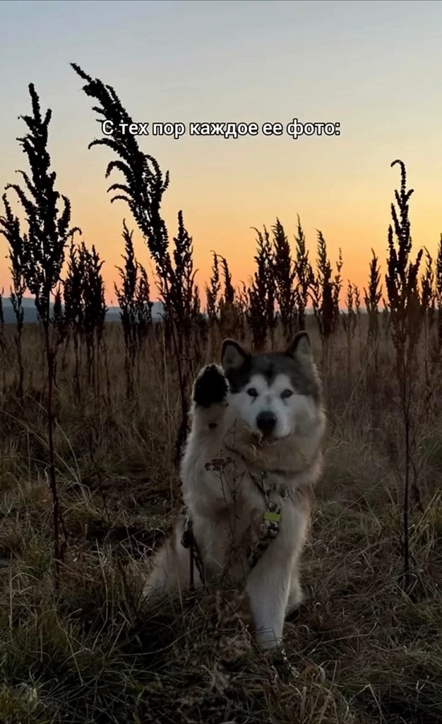 epee oa ea  aa o e pc. oa aa eo aa ao a aep  ... - 2