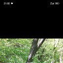 ���� ��������, �����-���������, 50 ��� - ��������� 16 ���� 2025 � ������ ���� ����������