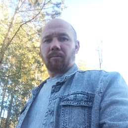 , 33,  