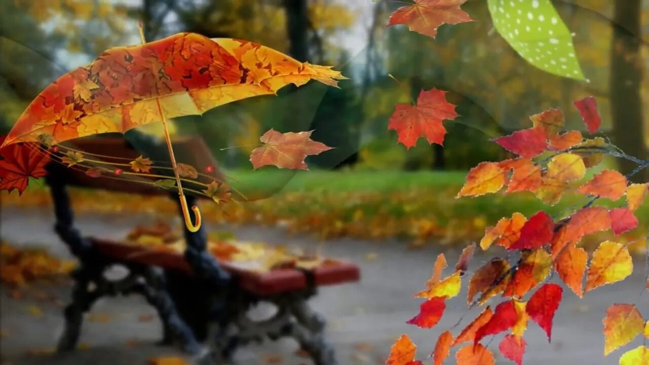 И снова листопад, и листья мне на плечи, Летят они, летят, не видя ничего, Вся Осень, как и я, полна ...