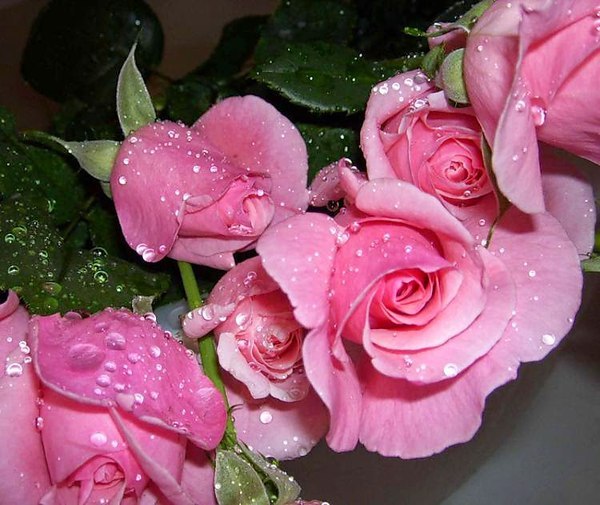 ����� �������� - 11 ����� 2025 � 11:05 - 2