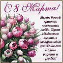 ���� ����� ������, ������-���, 50 ��� - ��������� 8 ����� 2026 � ������ ������ ��������