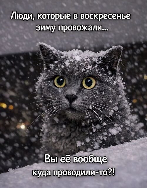 �� ����� ������! - 26 ������� 2026 � 06:37