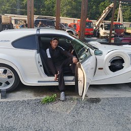 ����, �����������, 33 ����