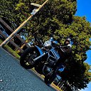 ���� ������, ������, 43 ���� - ��������� 26 ��� 2026