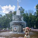 ��������, 23.06.2025 �� ������� ���� ����������