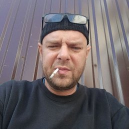 ����, 46 ���, ����������