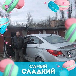 ���� ��������, ������, 72 ���� - ��������� 11 ������ 2023