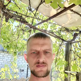 , 29, 