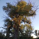 ���� �����, ��������, 56 ��� - ��������� 25 ������� 2026 � ������ ���� ����������