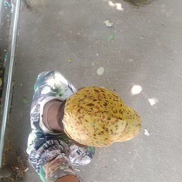 Rehan Bhai, �����������, 19 ���