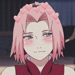 �������, ��������, 24 ����