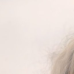 �����, ���������, 39 ���