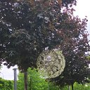 ���� �����, ��������� - ��������� 14 ������� 2025 � ������ ���� ����������