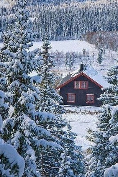 Изведать то, чего не ведал сроду, Глазами, ртом и кожей пить простор... Кто в океане видит только ... - 6