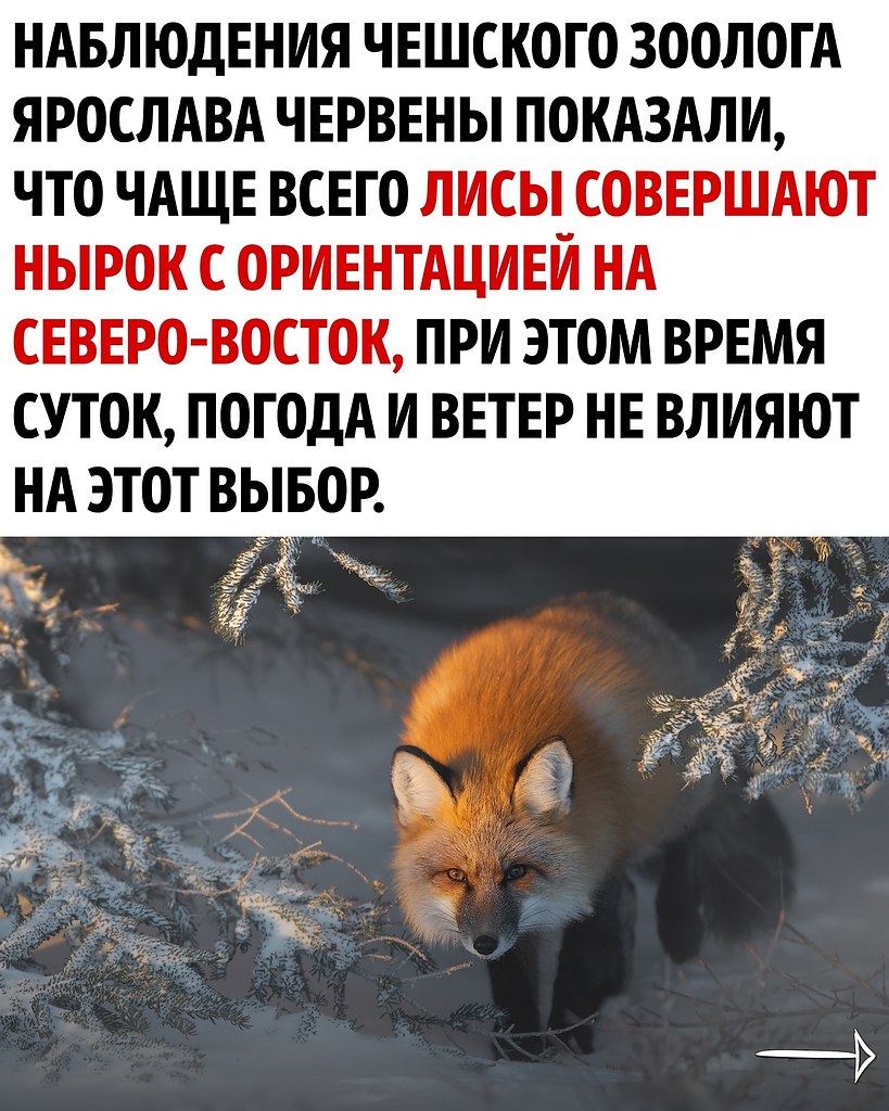     - 2