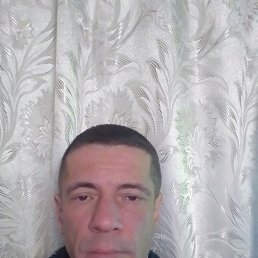 ��������, 41 ���, ���