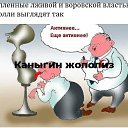���� ����, �����, 56 ��� - ��������� 16 ������� 2024 � ������ ���� ����������