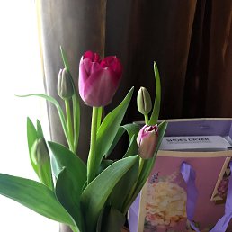 ���� ��������, ������, 56 ��� - ��������� 11 ����� 2025