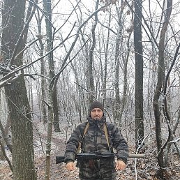 ����� � ����, ��������, 41 ���