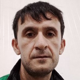 ������, ���������, 37 ���