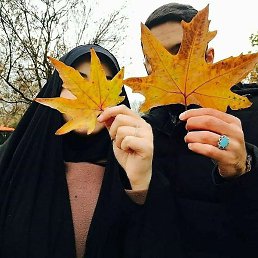 �����, ������, 26 ���