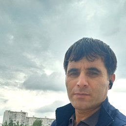 , 37, 