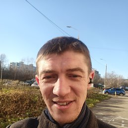 ���� ��������, ������ ��������, 41 ��� - ��������� 8 ������ 2023